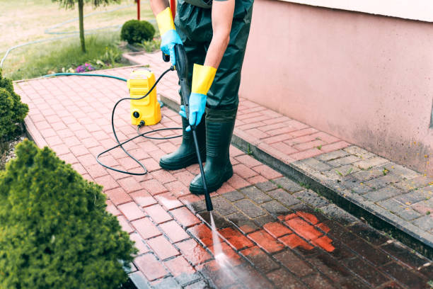 Best Roof Washing  in Belcourt, ND